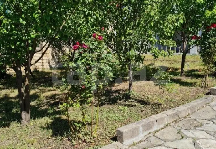 3 otaqlı mənzil , Şamaxı