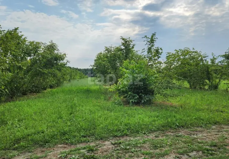 0 m² Obyekt / Ofis , Zaqatala