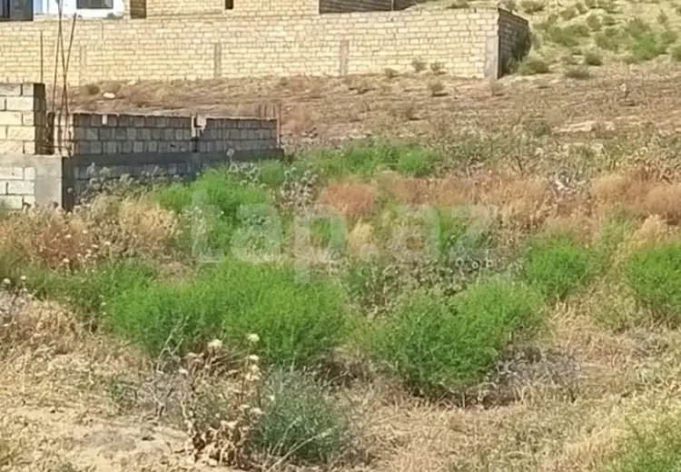 0 m² Obyekt / Ofis , Masazır, Abşeron