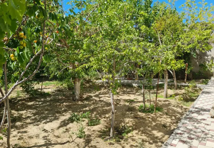 9 otaqlı mənzil Satılır, Biləcəri qəs., Binəqədi, Bakı