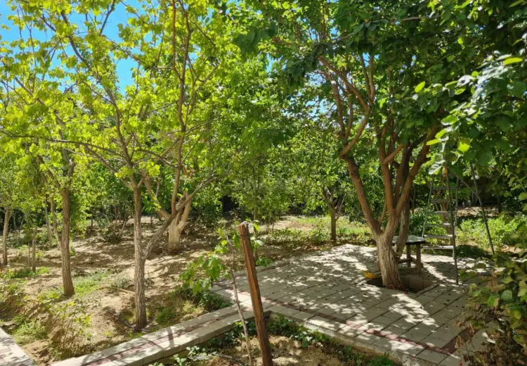 9 otaqlı mənzil Satılır, Biləcəri qəs., Binəqədi, Bakı