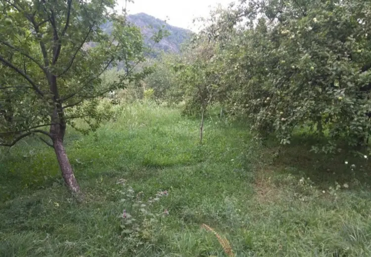 32 sot Torpaq Satılır, İsmayıllı
