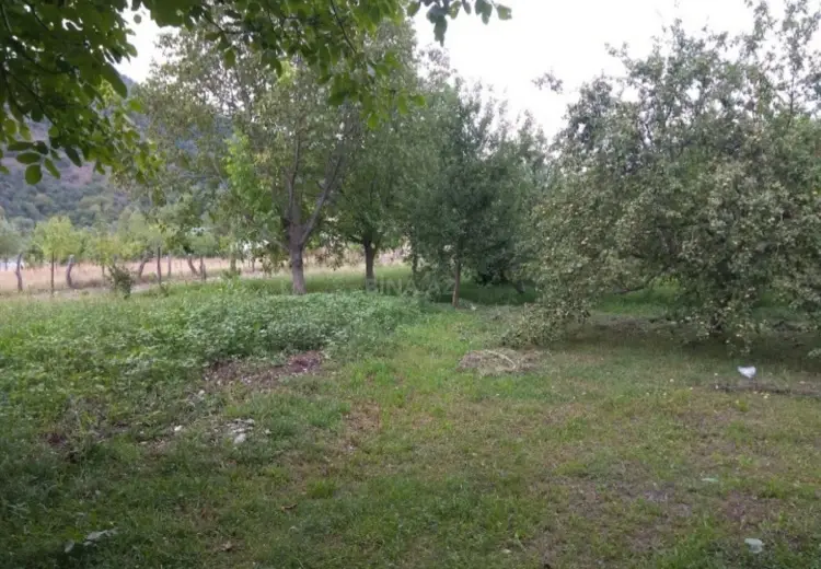 32 sot Torpaq Satılır, İsmayıllı