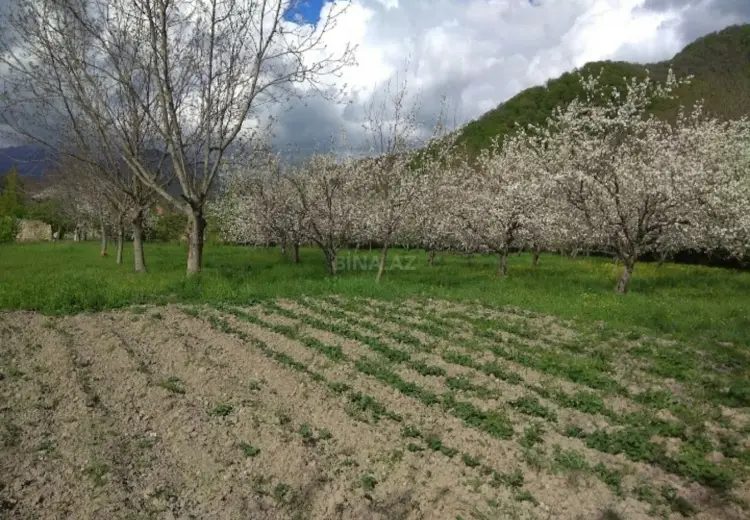 32 sot Torpaq Satılır, İsmayıllı