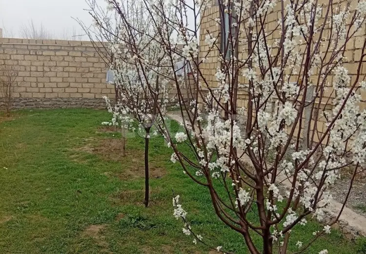 3 otaqlı mənzil , Gəncə