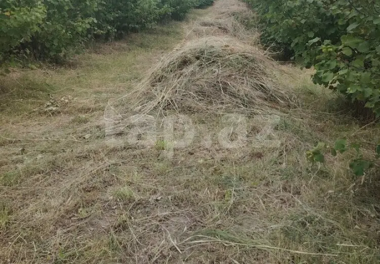 0 m² Obyekt / Ofis , Qusar