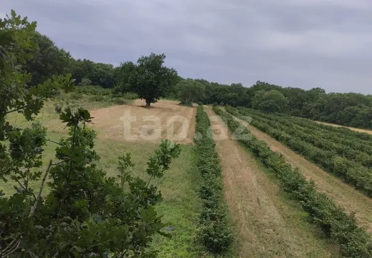 0 m² Obyekt / Ofis , Nabran