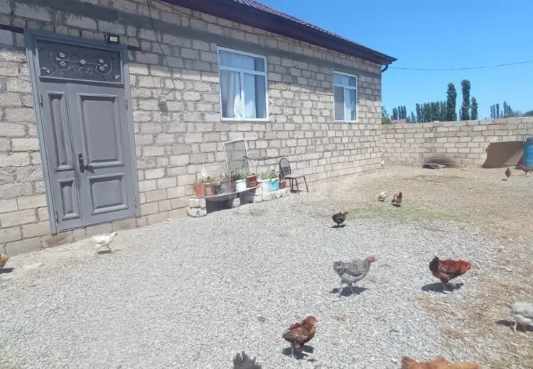 5 otaqlı mənzil , Xaçmaz