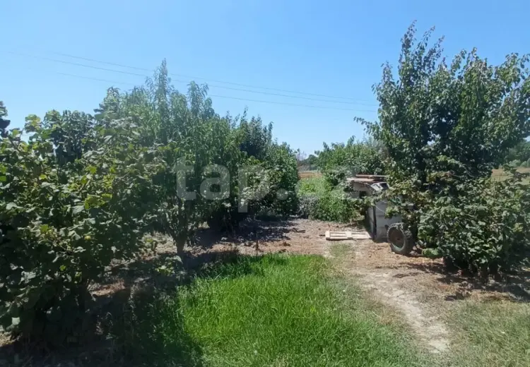 5 otaqlı mənzil , Xaçmaz