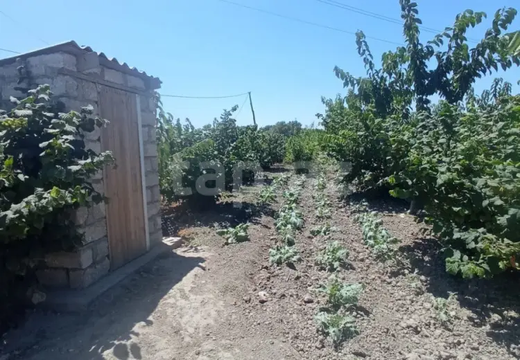 5 otaqlı mənzil , Xaçmaz