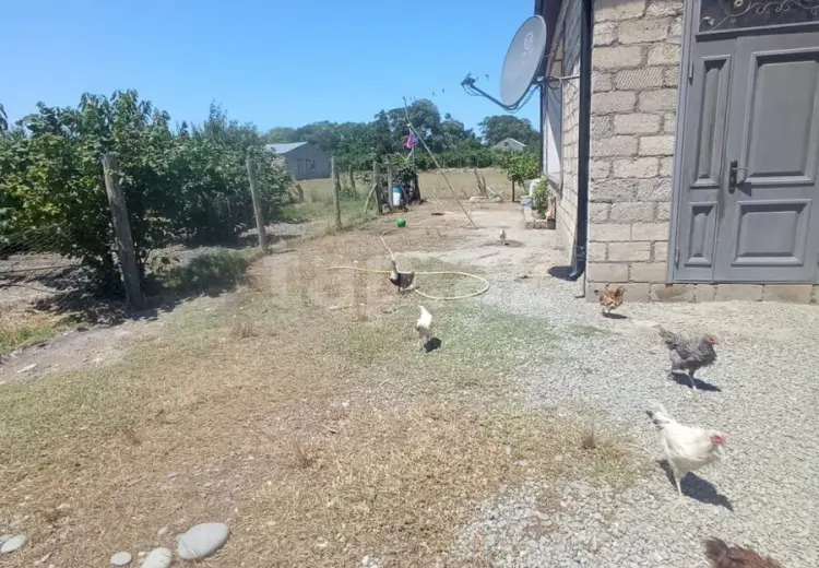 5 otaqlı mənzil , Xaçmaz