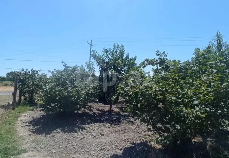 5 otaqlı mənzil , Xaçmaz