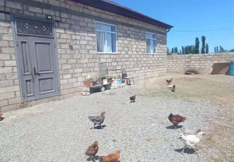 5 otaqlı mənzil , Xaçmaz