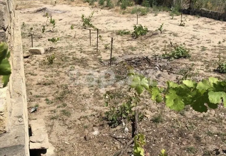 0 m² Obyekt / Ofis , Novxanı, Abşeron