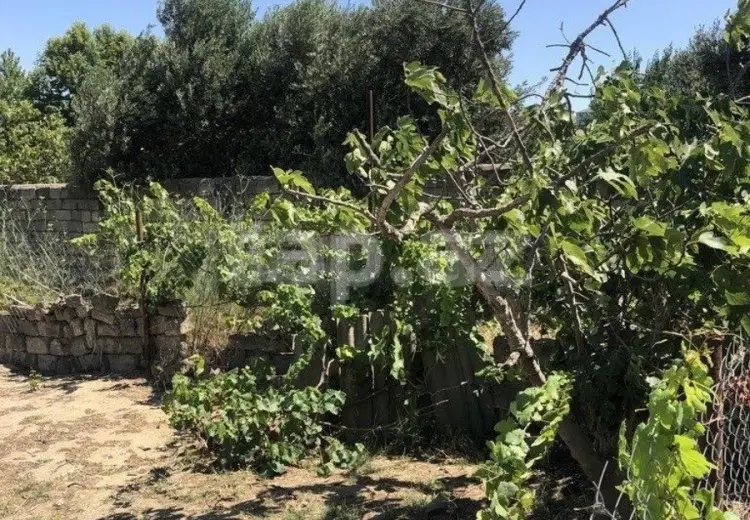 0 m² Obyekt / Ofis , Novxanı, Abşeron
