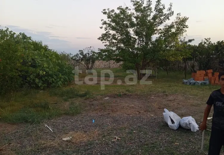 0 m² Obyekt / Ofis , Mingəçevir