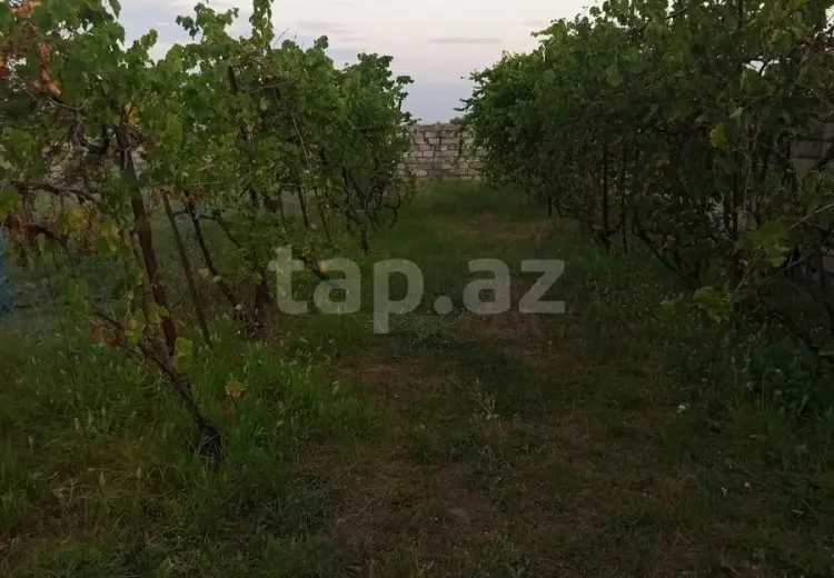 0 m² Obyekt / Ofis , Mingəçevir