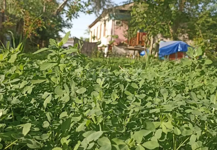 3 otaqlı mənzil , Yevlax