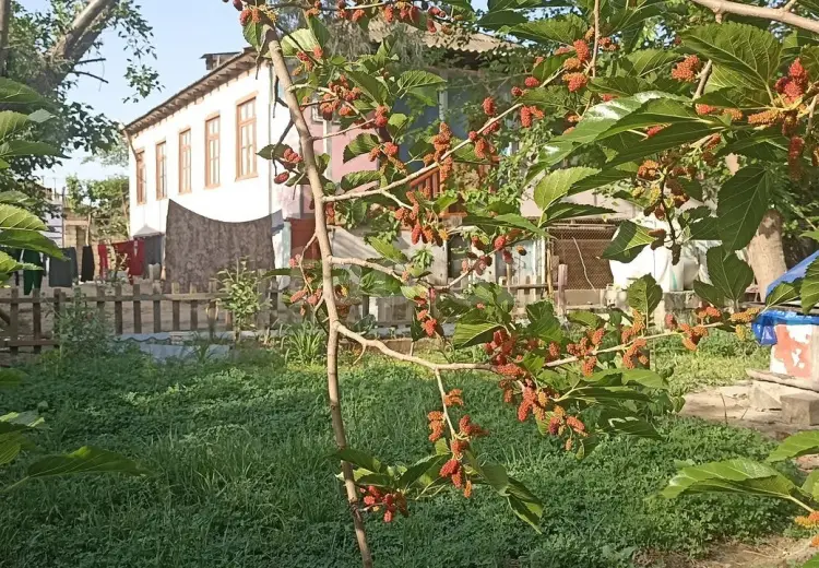3 otaqlı mənzil , Yevlax