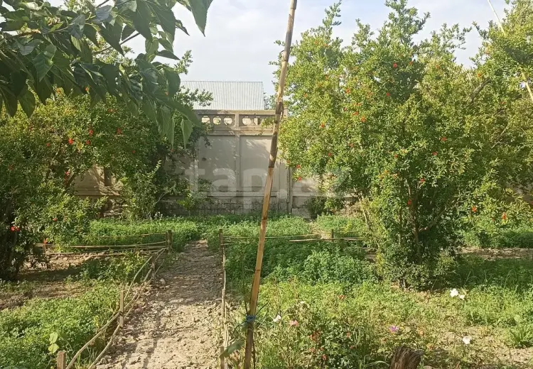 3 otaqlı mənzil , Yevlax