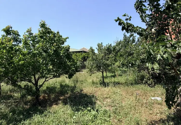 4 sot Torpaq Satılır, Buzovna, Xəzər, Bakı