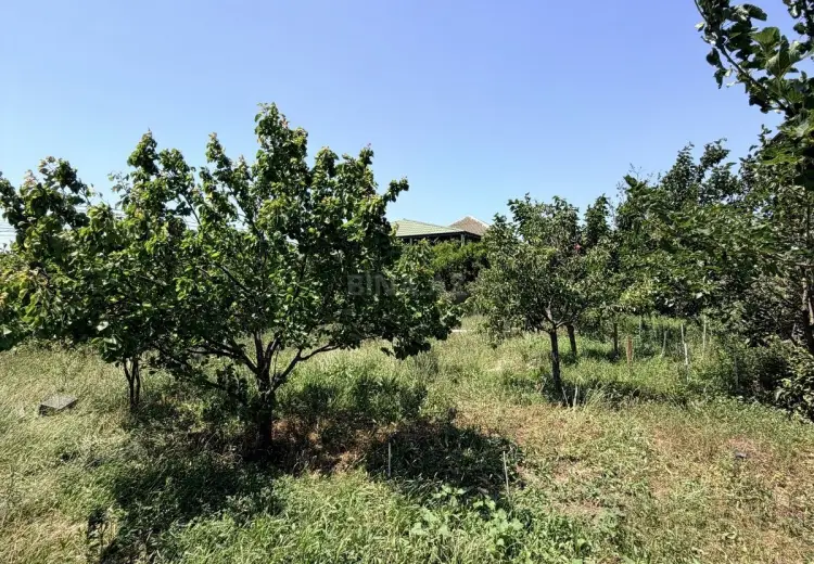 4 sot Torpaq Satılır, Buzovna, Xəzər, Bakı