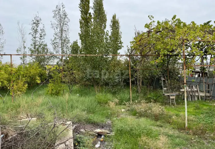3 otaqlı mənzil , Yevlax