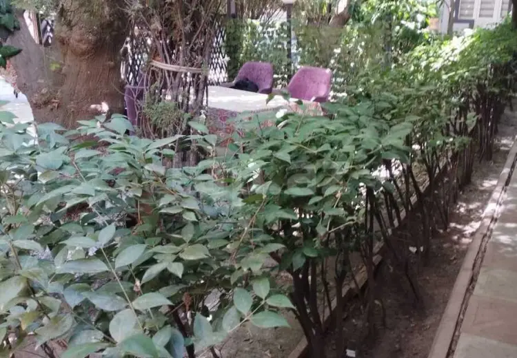 0 m² Obyekt / Ofis , 6-cı mikrorayon, Binəqədi, Bakı