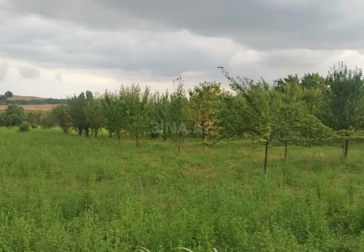 200 sot Torpaq Satılır, İsmayıllı
