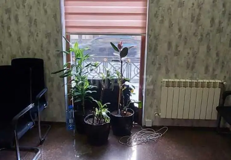 130 m² Obyekt / Ofis Kirayə (aylıq), Nəsimi, Bakı