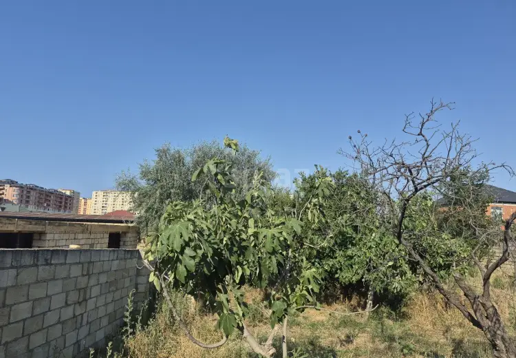 0 m² Obyekt / Ofis , Bakı