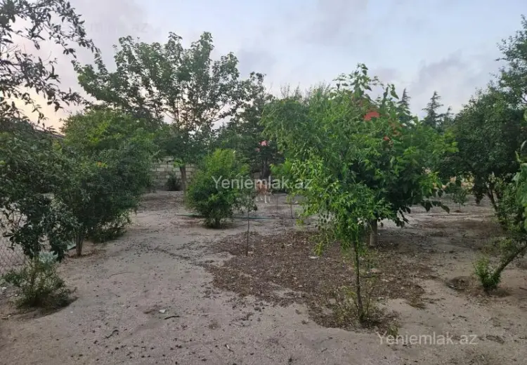 12 sot Torpaq Satılır, Qurd dərəsi, Sumqayıt
