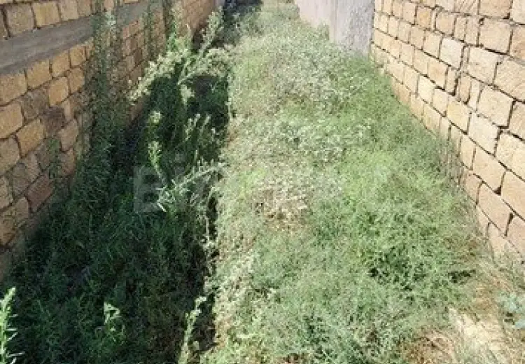 4 sot Torpaq Satılır, Digah, Abşeron