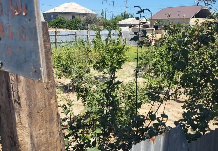 0 m² Obyekt / Ofis , Sumqayıt