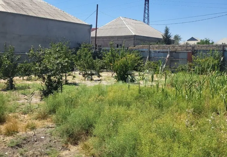 0 m² Obyekt / Ofis , Sumqayıt