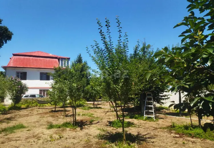 12 otaqlı mənzil , Xudat