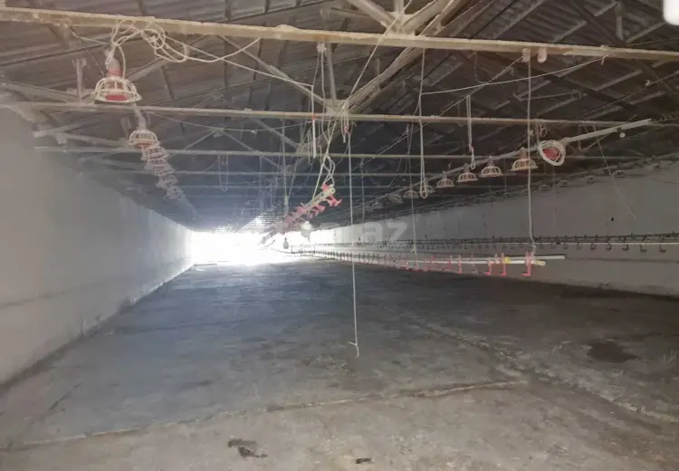 0 m² Obyekt / Ofis , Mehdiabad, Abşeron