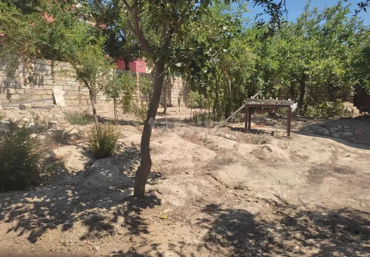 0 m² Obyekt / Ofis , Bakı
