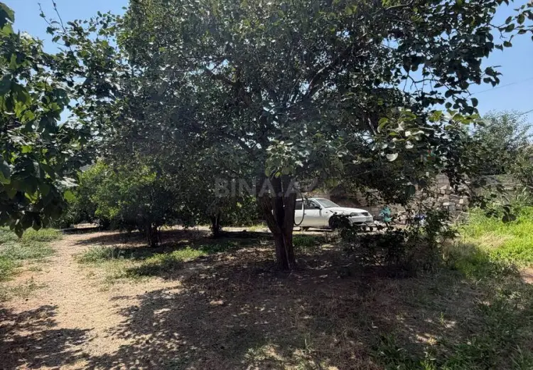 12 sot Torpaq Satılır, Masazır, Abşeron