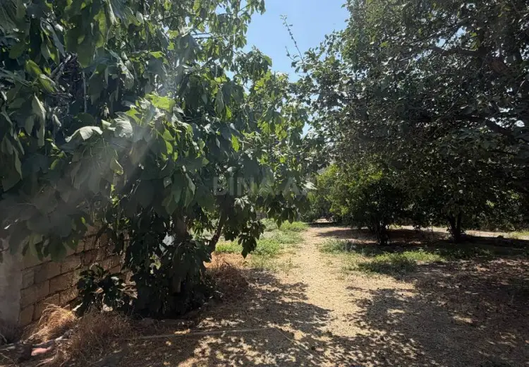 12 sot Torpaq Satılır, Masazır, Abşeron