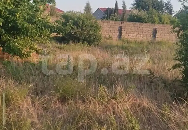 0 m² Obyekt / Ofis , Buzovna, Xəzər, Bakı