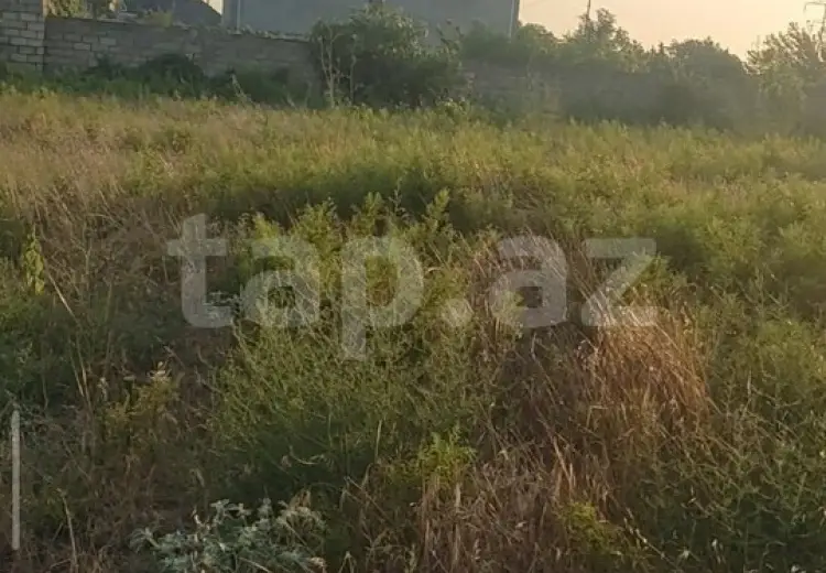 0 m² Obyekt / Ofis , Buzovna, Xəzər, Bakı