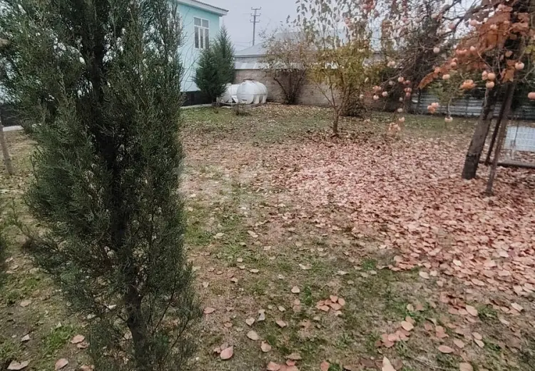8 otaqlı mənzil , Qəbələ