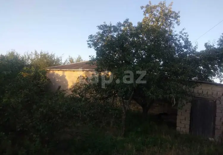 5 otaqlı mənzil , Quba