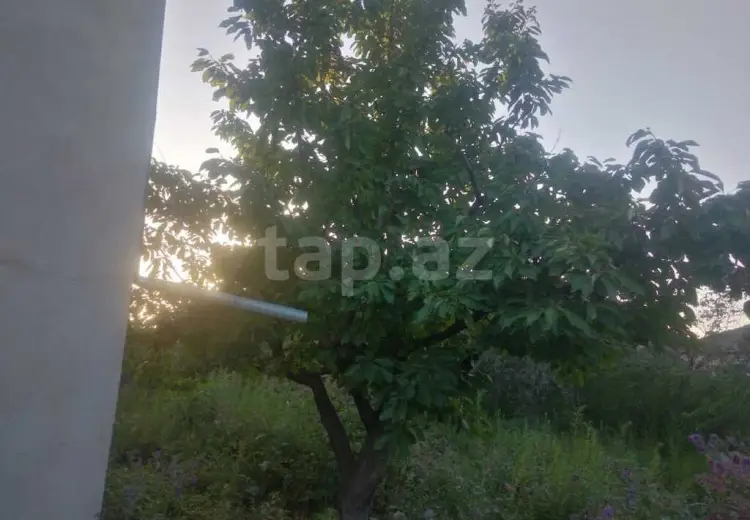 5 otaqlı mənzil , Quba
