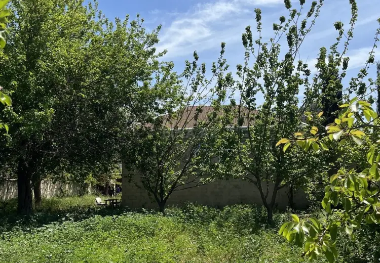 10.5 sot Torpaq Satılır, Sabunçu, Bakı