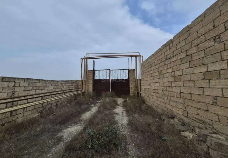 386 sot Torpaq Satılır, Qobu, Abşeron