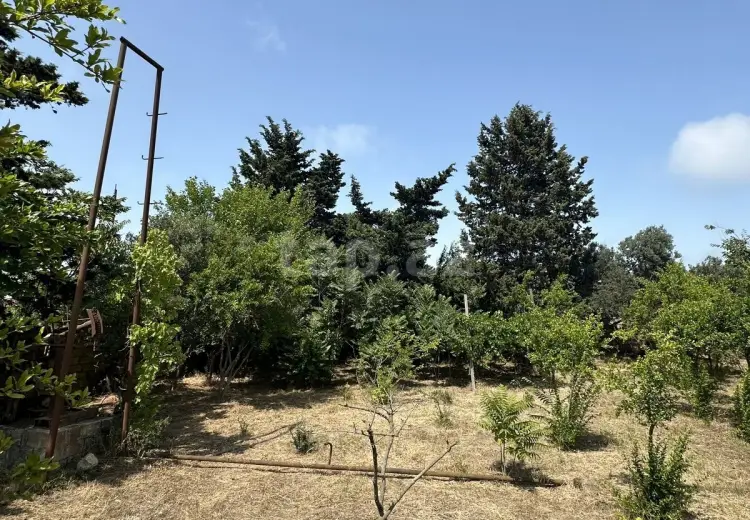 0 m² Obyekt / Ofis , Dübəndi, Xəzər, Bakı
