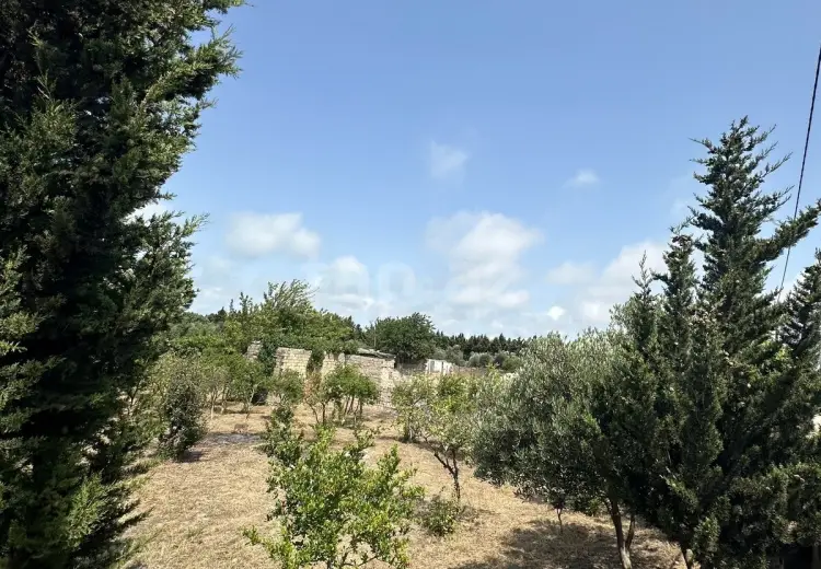 0 m² Obyekt / Ofis , Dübəndi, Xəzər, Bakı
