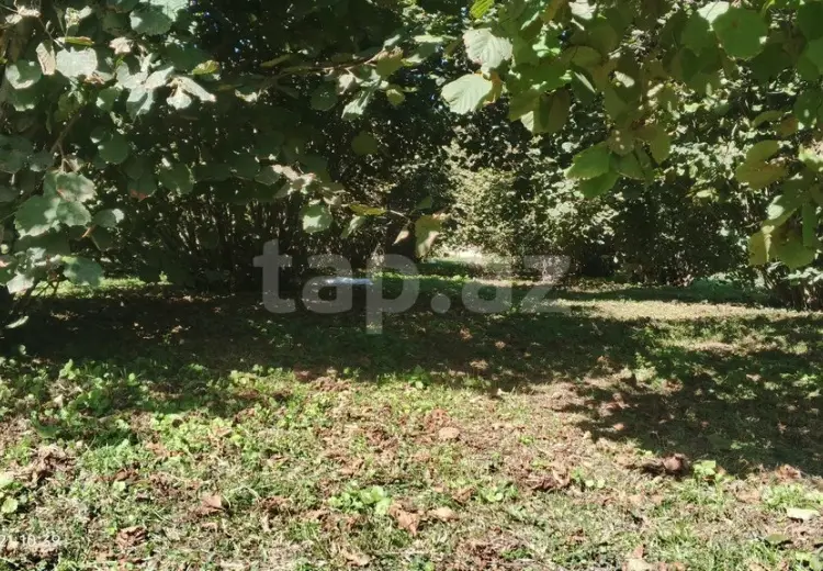 3 otaqlı mənzil , Zaqatala